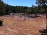 2011-09-06-Firepit Drought.jpg